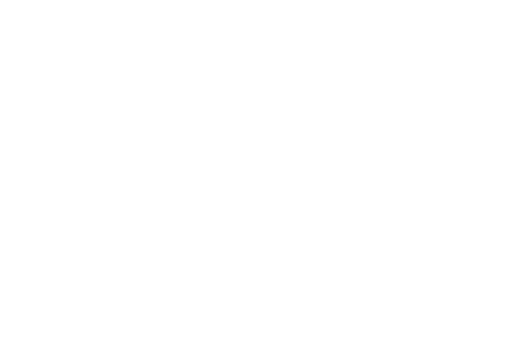 Blackbird AI
